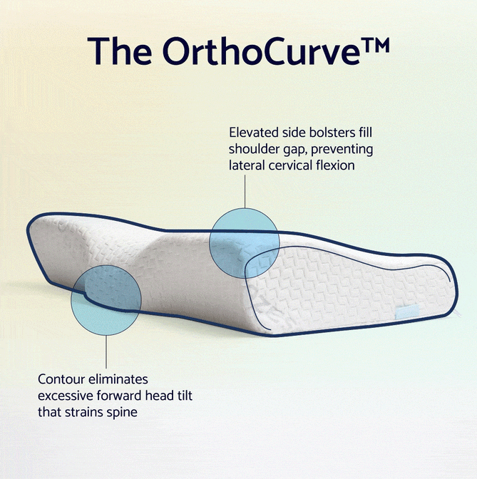 The OrthoCurve contour