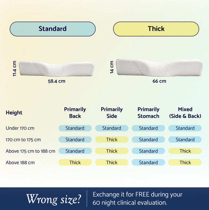 Size guide - Standard vs Thick