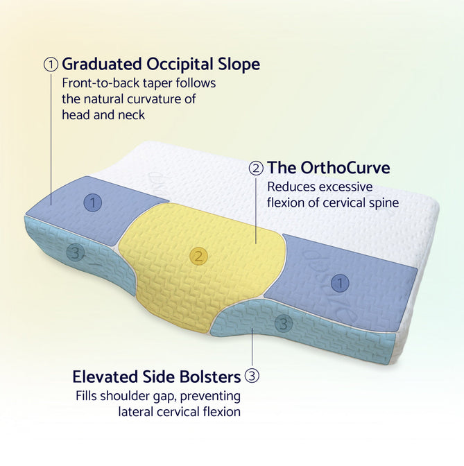 Graduated occipital slope, OrthoCurve and elevated side bolsters